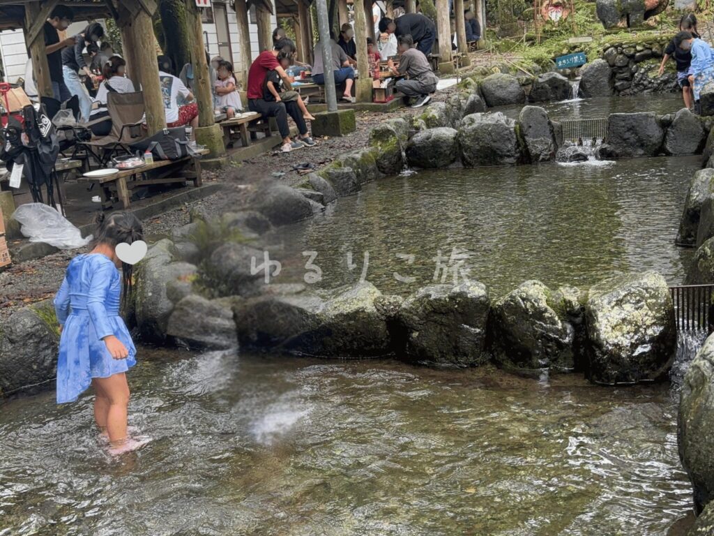 清川リバーランドの浅い人工の川で魚を探す子ども