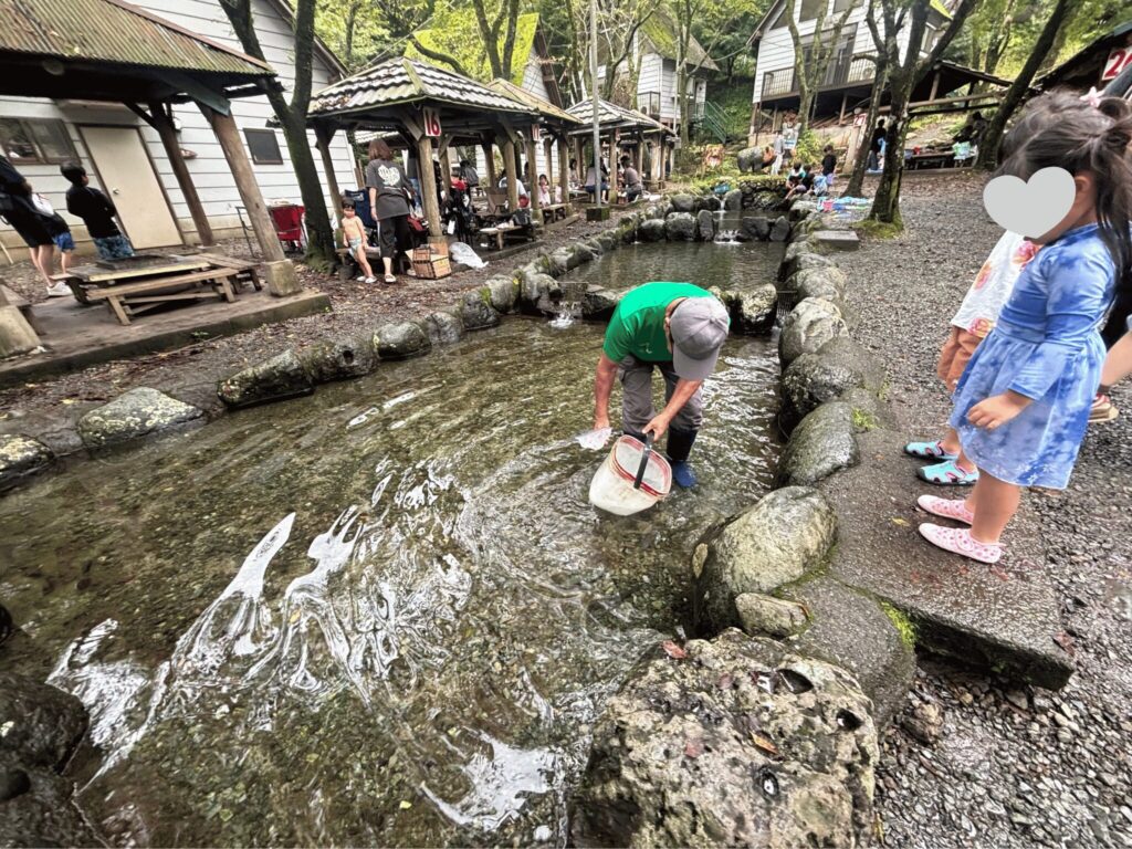 清川リバーランドのつかみ取り場に魚を放流してもらう様子
