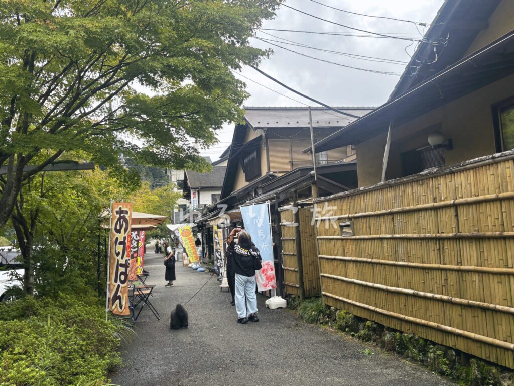 宮ヶ瀬湖畔の水の郷商店街