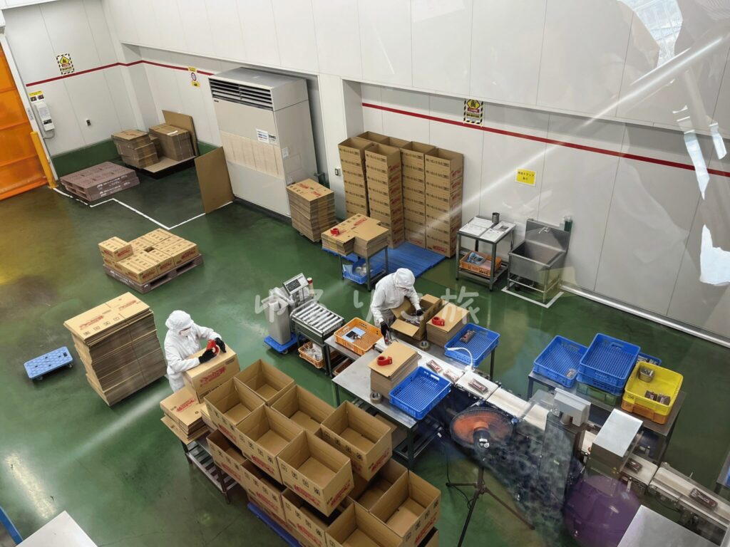 こんにゃくパークの工場見学で見られる製造ライン