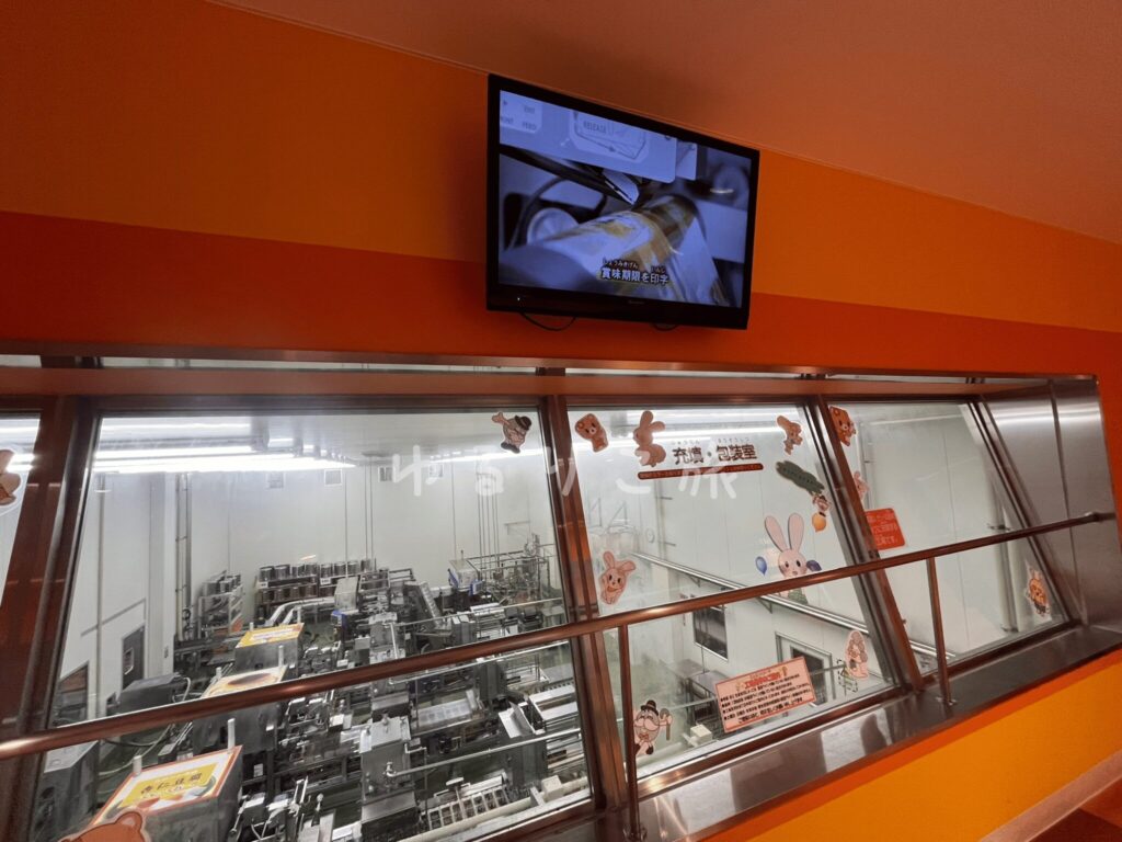 こんにゃくパークの工場見学で見られる製造ライン
