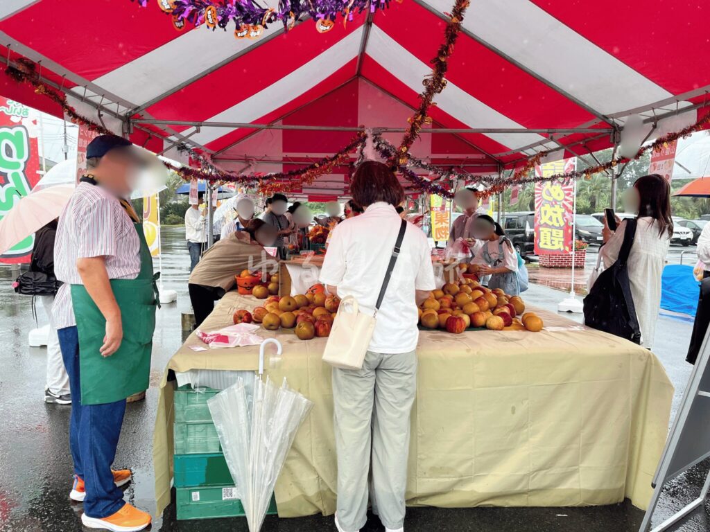 こんにゃくパークで開催されていたりんごと梨の詰め放題イベント